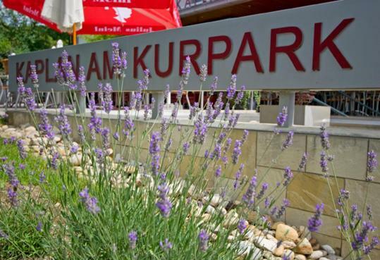 Готель Kaplan Am Kurpark Бад-Тацманнсдорф Екстер'єр фото